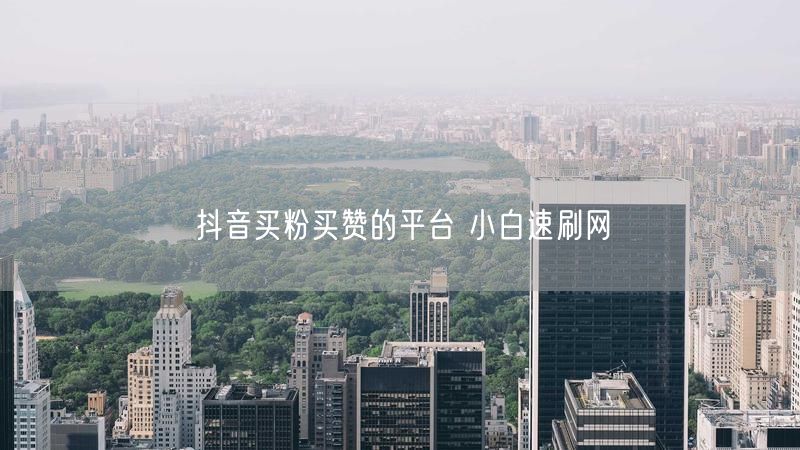 抖音买粉买赞的平台 小白速刷网