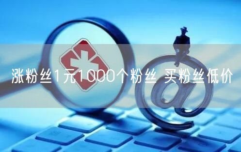 涨粉丝1元1000个粉丝 买粉丝低价