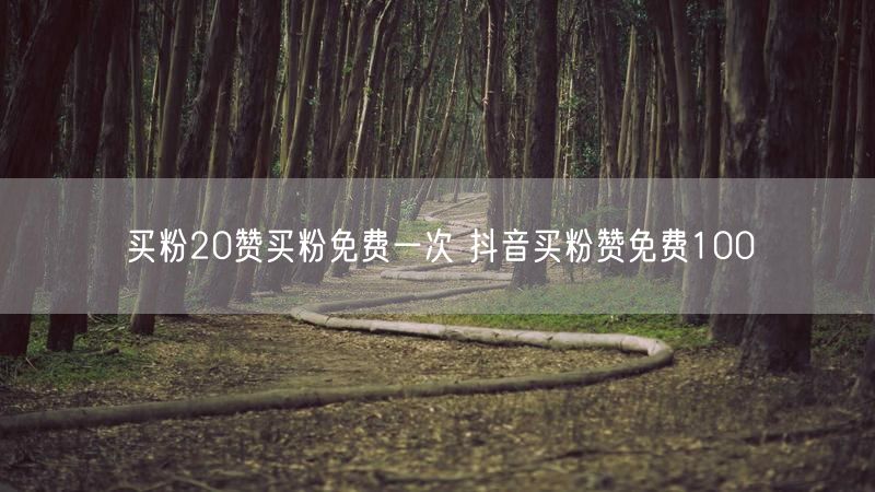 买粉20赞买粉免费一次 抖音买粉赞免费100