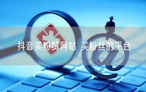 抖音买粉赞网站 买粉丝的平台
