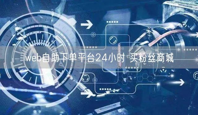 web自助下单平台24小时 买粉丝商城