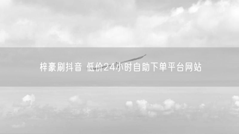 梓豪刷抖音 低价24小时自助下单平台网站