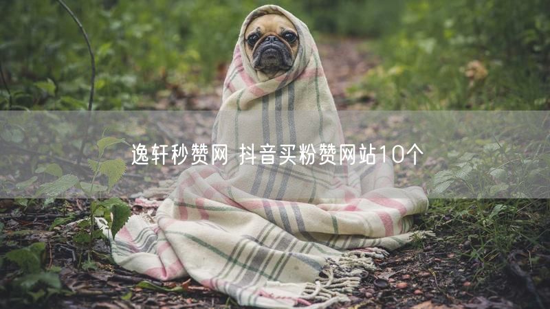 逸轩秒赞网 抖音买粉赞网站10个