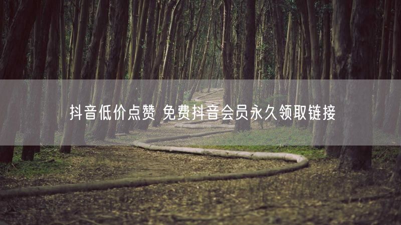 抖音低价点赞 免费抖音会员永久领取链接
