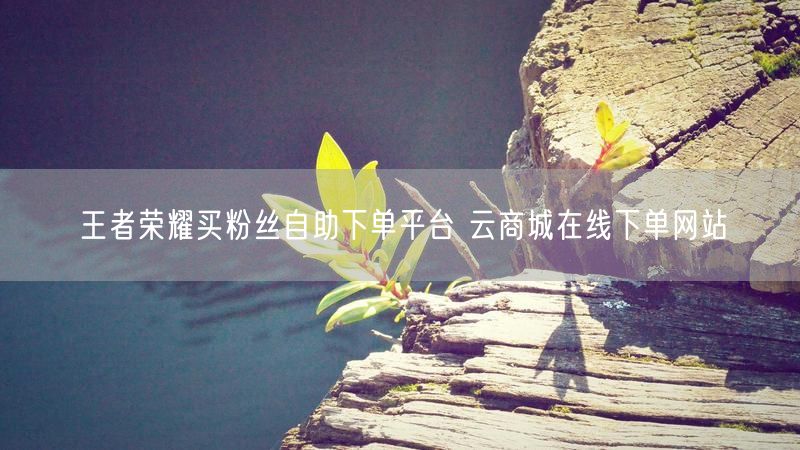 王者荣耀买粉丝自助下单平台 云商城在线下单网站
