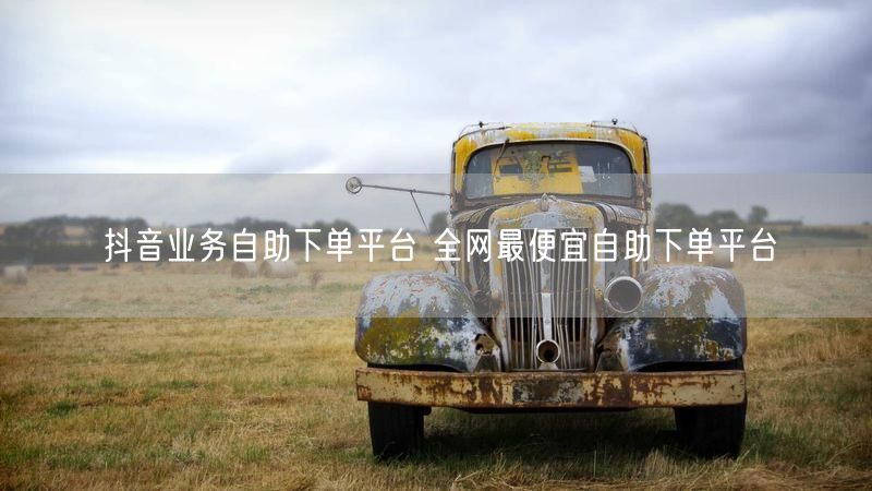 抖音业务自助下单平台 全网最便宜自助下单平台