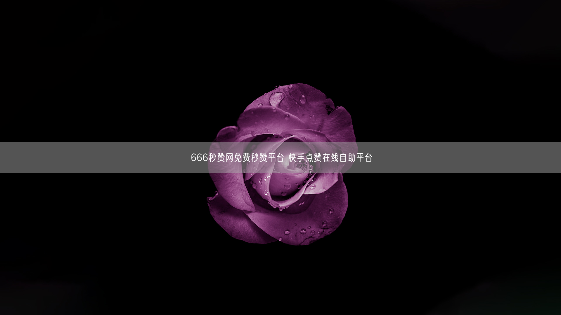 666秒赞网免费秒赞平台 快手点赞在线自助平台