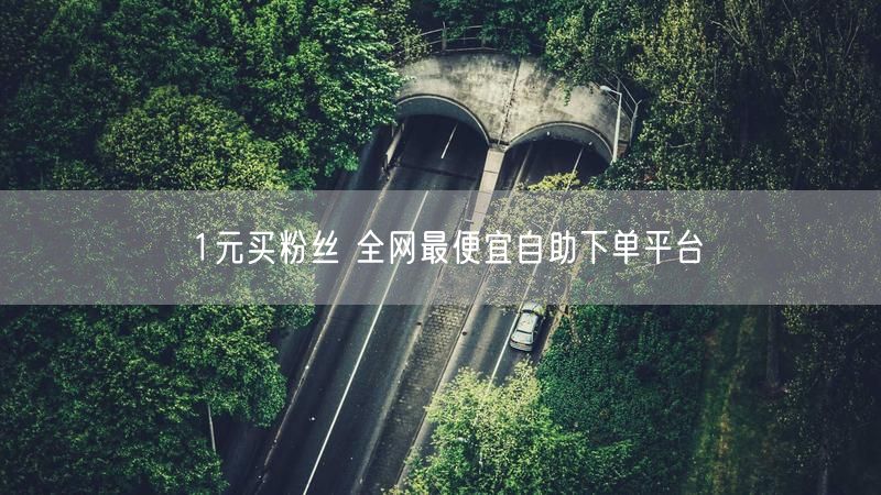 1元买粉丝 全网最便宜自助下单平台