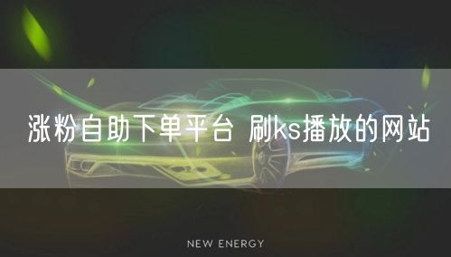 涨粉自助下单平台 刷ks播放的网站
