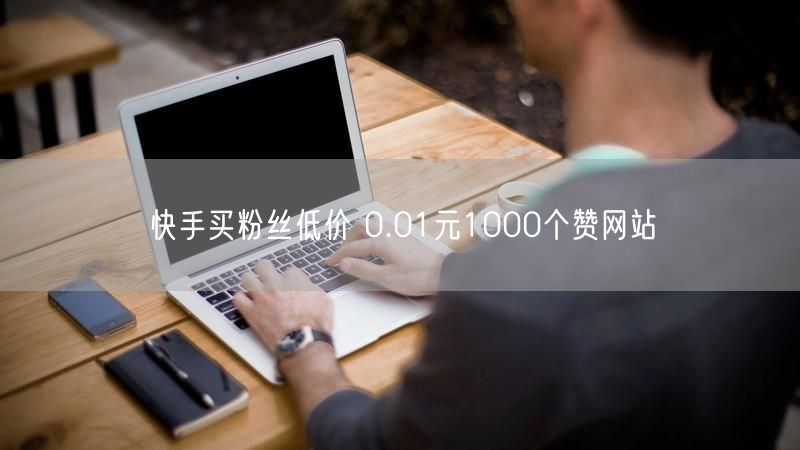 快手买粉丝低价 0.01元1000个赞网站