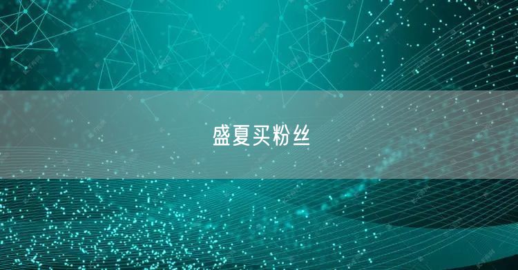 盛夏买粉丝