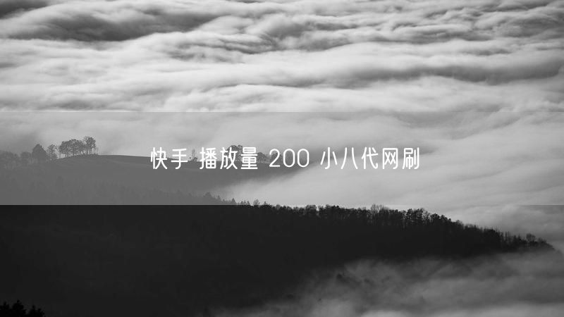 快手 播放量 200 小八代网刷