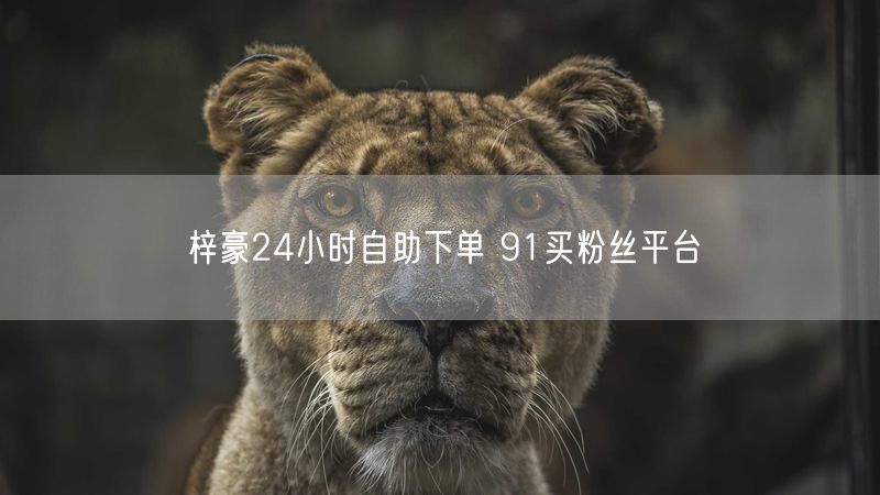 梓豪24小时自助下单 91买粉丝平台