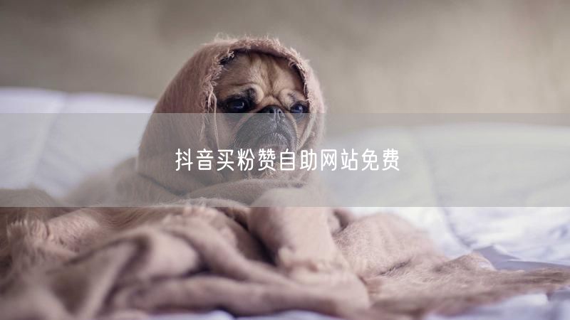 抖音买粉赞自助网站免费