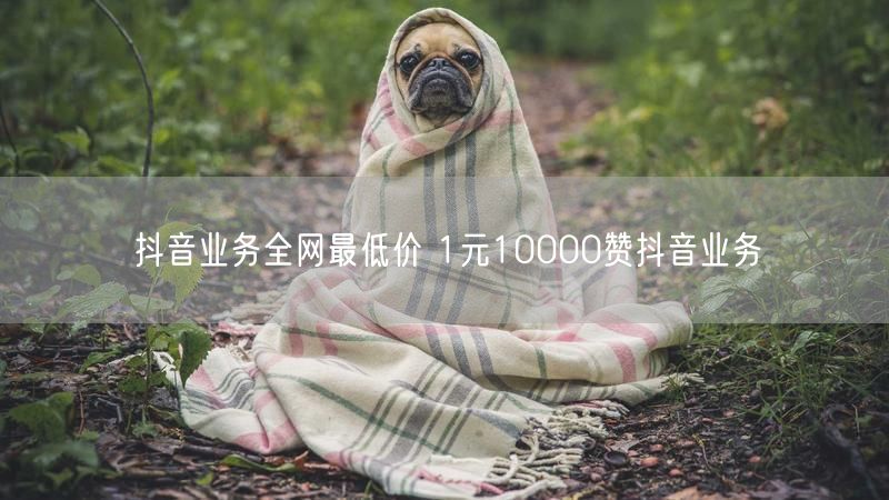 抖音业务全网最低价 1元10000赞抖音业务