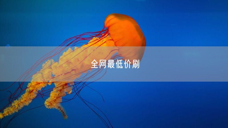 全网最低价刷