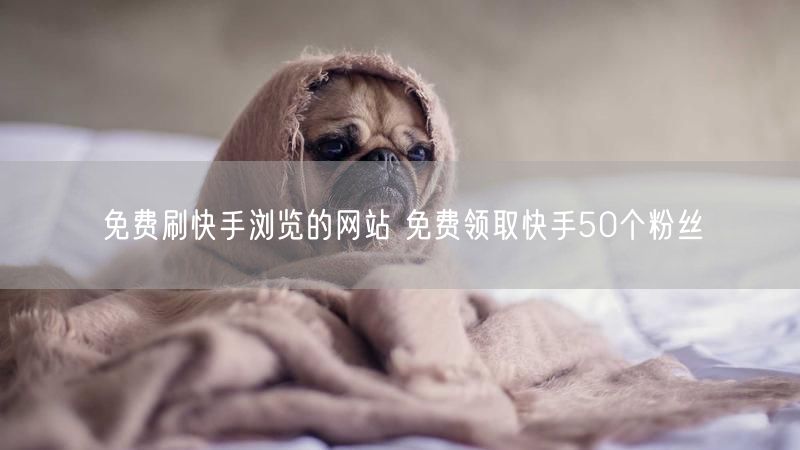 免费刷快手浏览的网站 免费领取快手50个粉丝