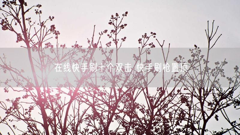 在线快手刷十个双击 快手刷枪置顶