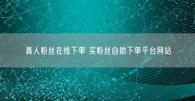 真人粉丝在线下单 买粉丝自助下单平台网站