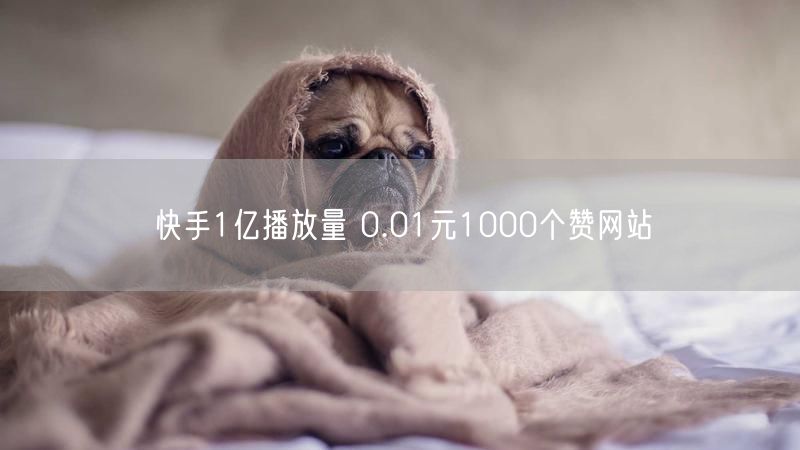 快手1亿播放量 0.01元1000个赞网站
