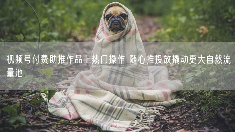 视频号付费助推作品上热门操作 随心推投放撬动更大自然流量池