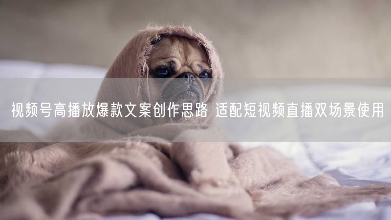 视频号高播放爆款文案创作思路 适配短视频直播双场景使用