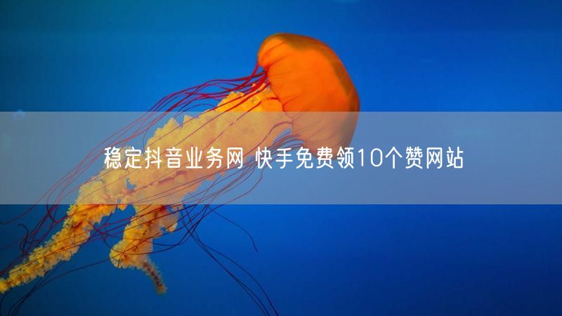 稳定抖音业务网 快手免费领10个赞网站