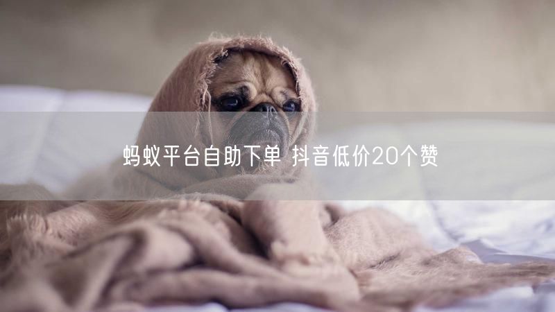 蚂蚁平台自助下单 抖音低价20个赞