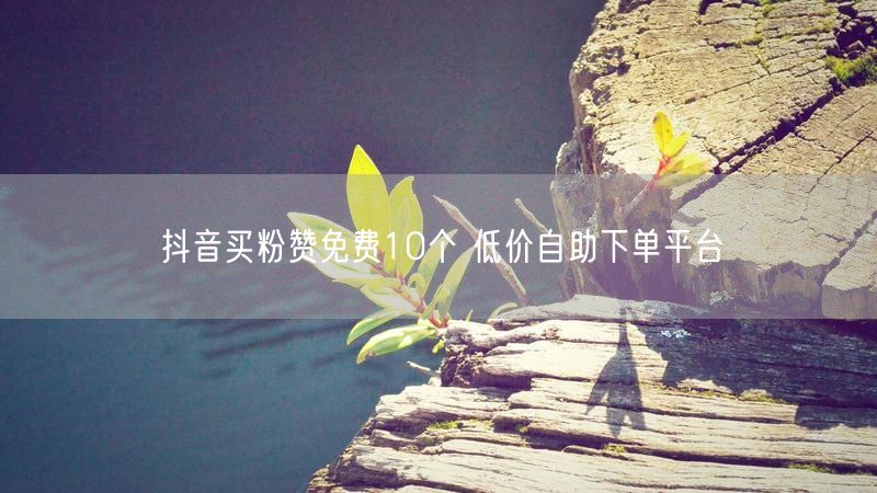 抖音买粉赞免费10个 低价自助下单平台