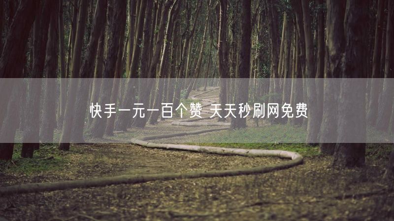 快手一元一百个赞 天天秒刷网免费