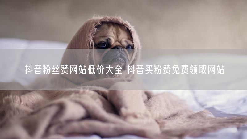 抖音粉丝赞网站低价大全 抖音买粉赞免费领取网站