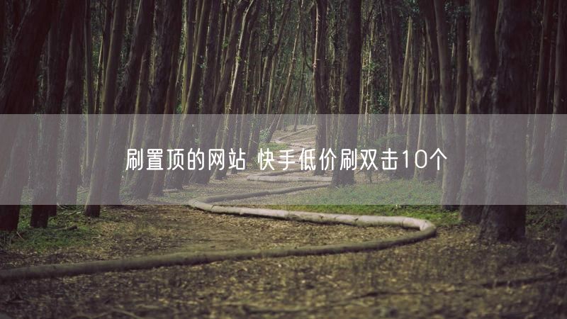 刷置顶的网站 快手低价刷双击10个