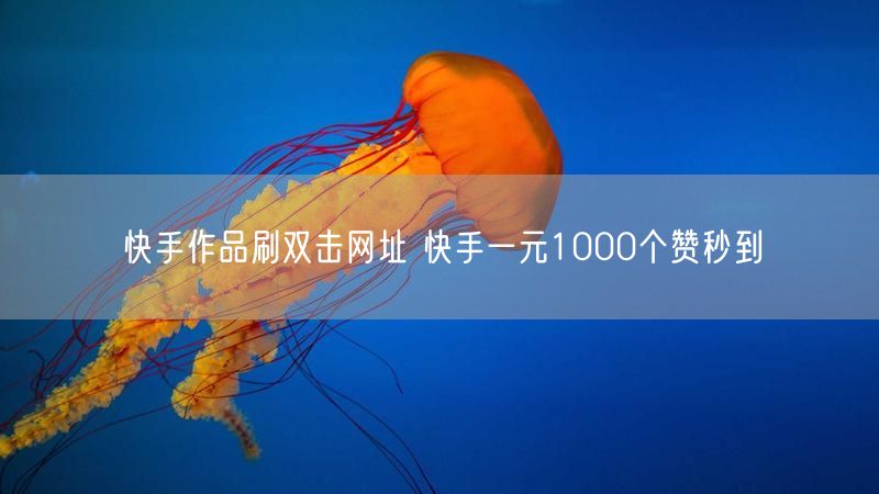 快手作品刷双击网址 快手一元1000个赞秒到