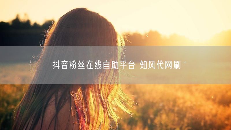 抖音粉丝在线自助平台 知风代网刷