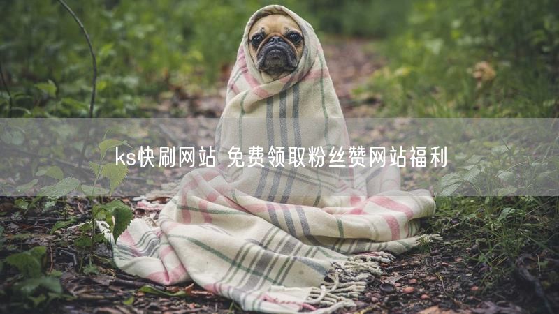 ks快刷网站 免费领取粉丝赞网站福利