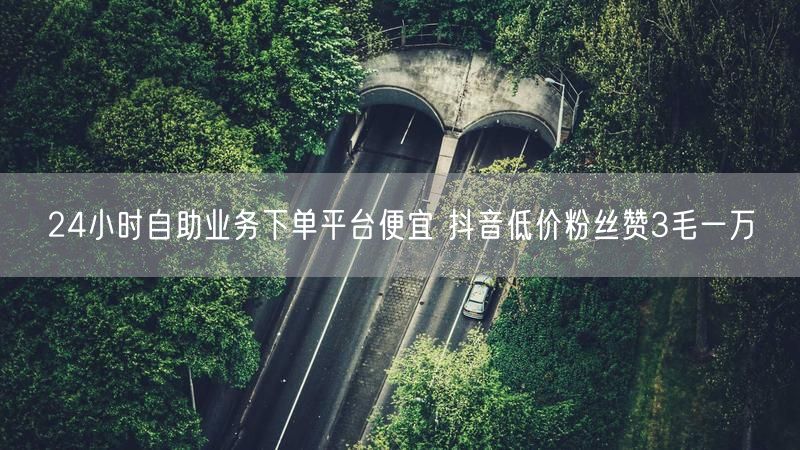 24小时自助业务下单平台便宜 抖音低价粉丝赞3毛一万