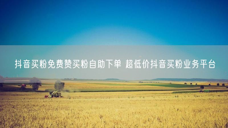 抖音买粉免费赞买粉自助下单 超低价抖音买粉业务平台