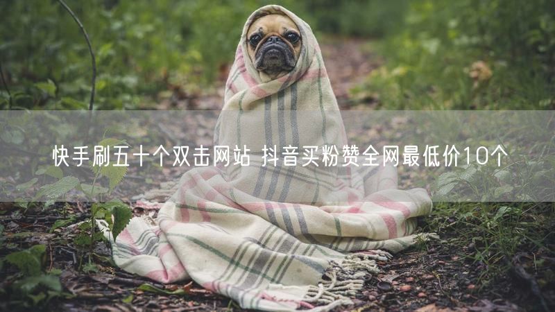 快手刷五十个双击网站 抖音买粉赞全网最低价10个