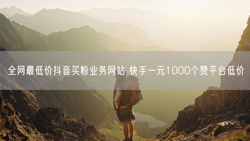 全网最低价抖音买粉业务网站 快手一元1000个赞平台低价