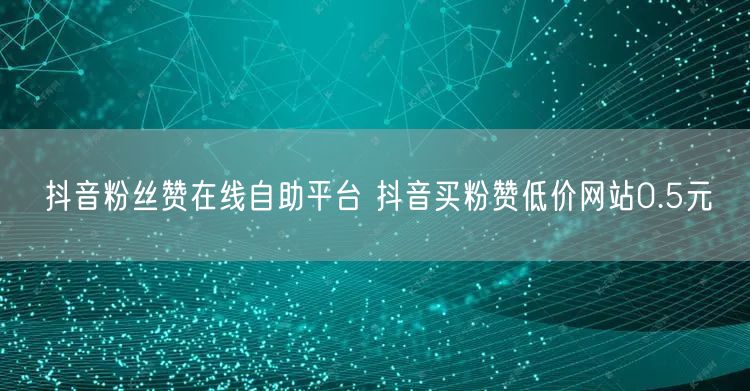 抖音粉丝赞在线自助平台 抖音买粉赞低价网站0.5元