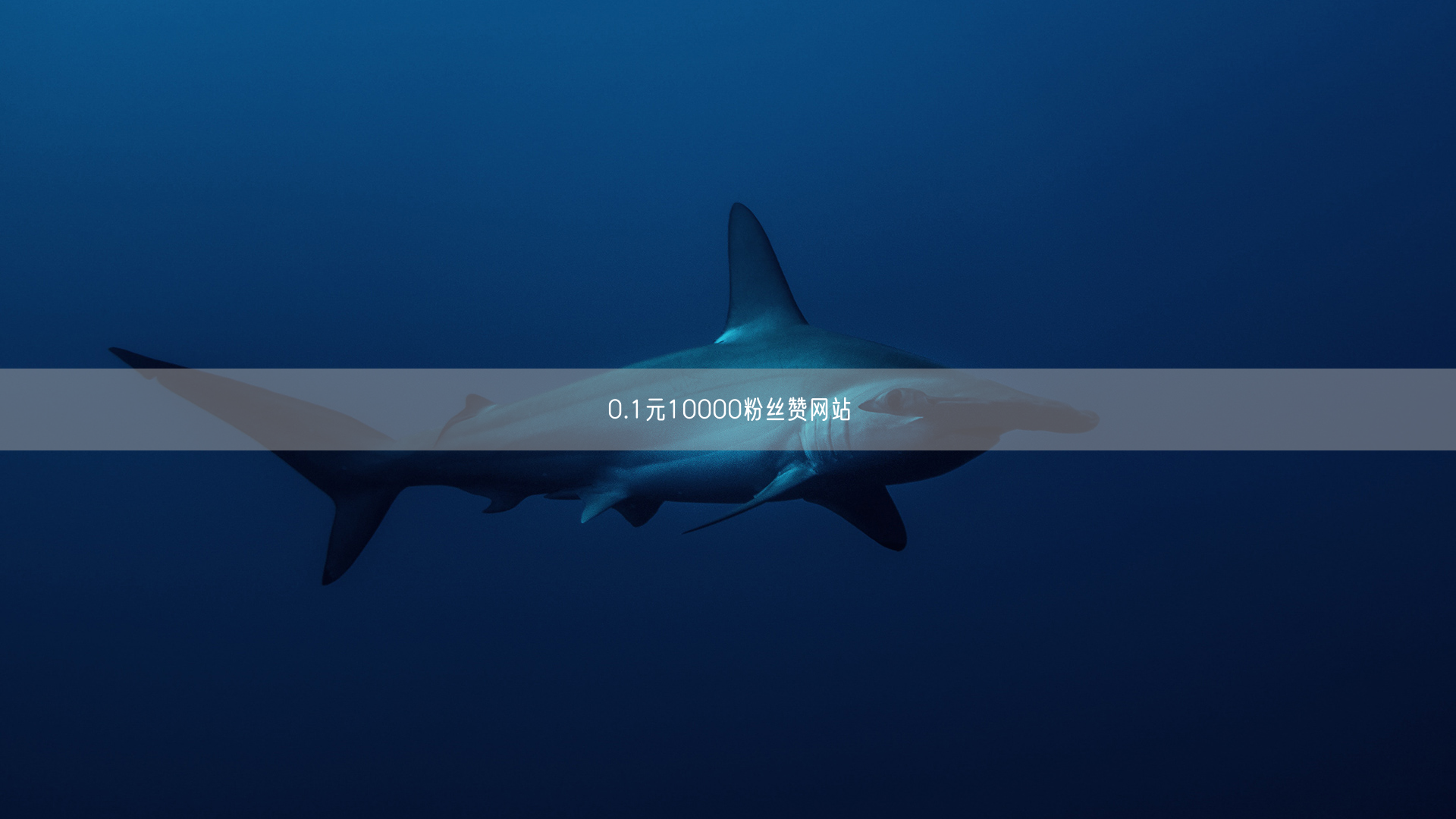 0.1元10000粉丝赞网站