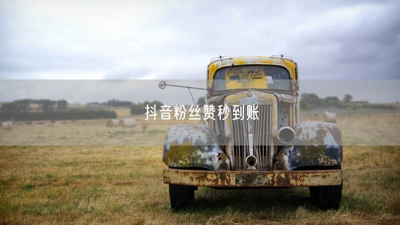 抖音粉丝赞秒到账