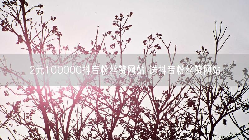 2元100000抖音粉丝赞网站 送抖音粉丝赞网站