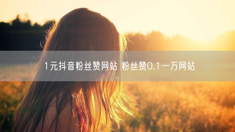1元抖音粉丝赞网站 粉丝赞0.1一万网站