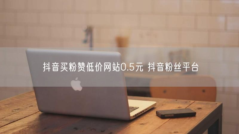 抖音买粉赞低价网站0.5元 抖音粉丝平台