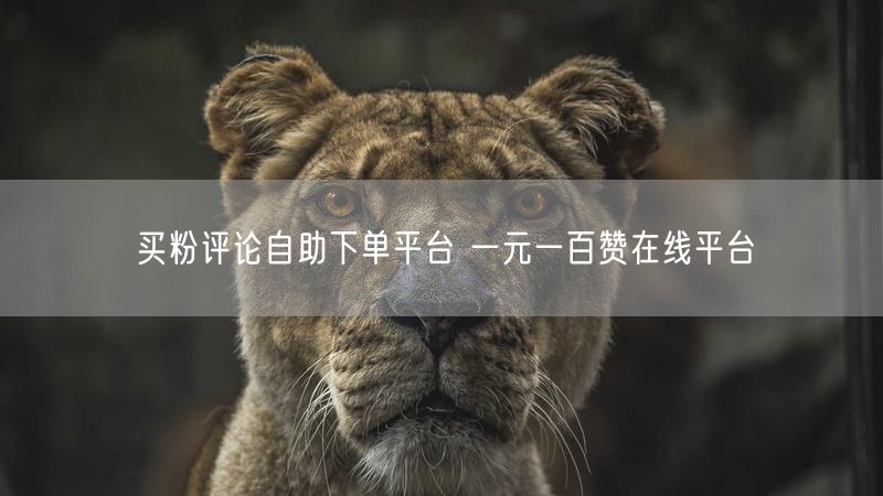 买粉评论自助下单平台 一元一百赞在线平台