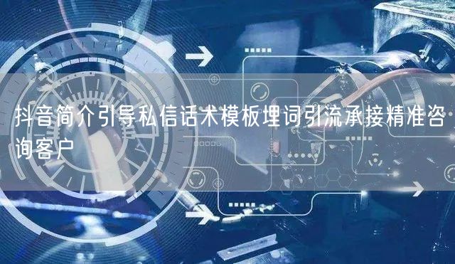 抖音简介引导私信话术模板埋词引流承接精准咨询客户