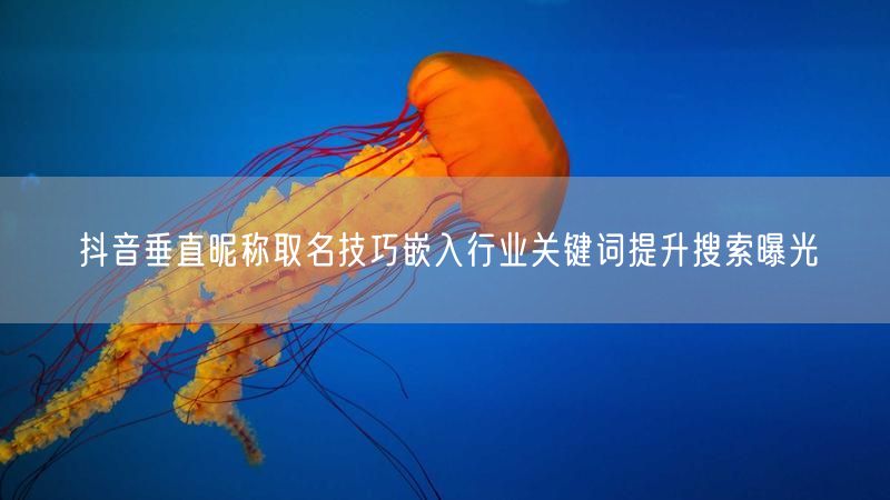 抖音垂直昵称取名技巧嵌入行业关键词提升搜索曝光