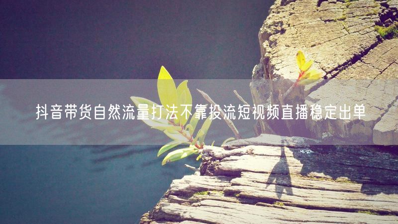 抖音带货自然流量打法不靠投流短视频直播稳定出单