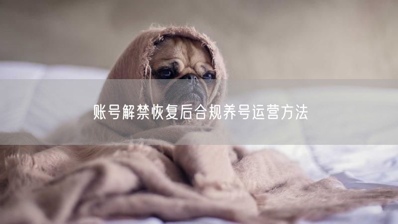 账号解禁恢复后合规养号运营方法